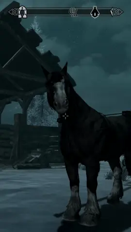Important Skyrim horse information that should be heeded by every player. #skyrim #skyrimtiktok #skyrimdaily #skyrimtok #gaming #videogames #gamer