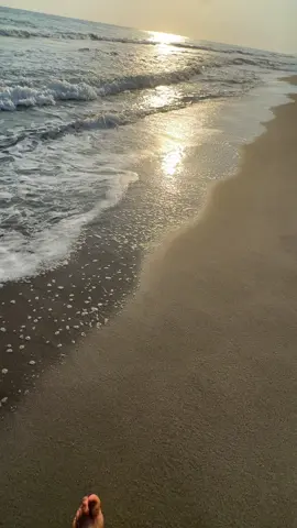 الجزء 11|منشن ☀🫀G🫴🌷