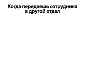 тгк: Человек-арбуз #котик #hope #щенята #fe #котик #hope #щенята #fe 