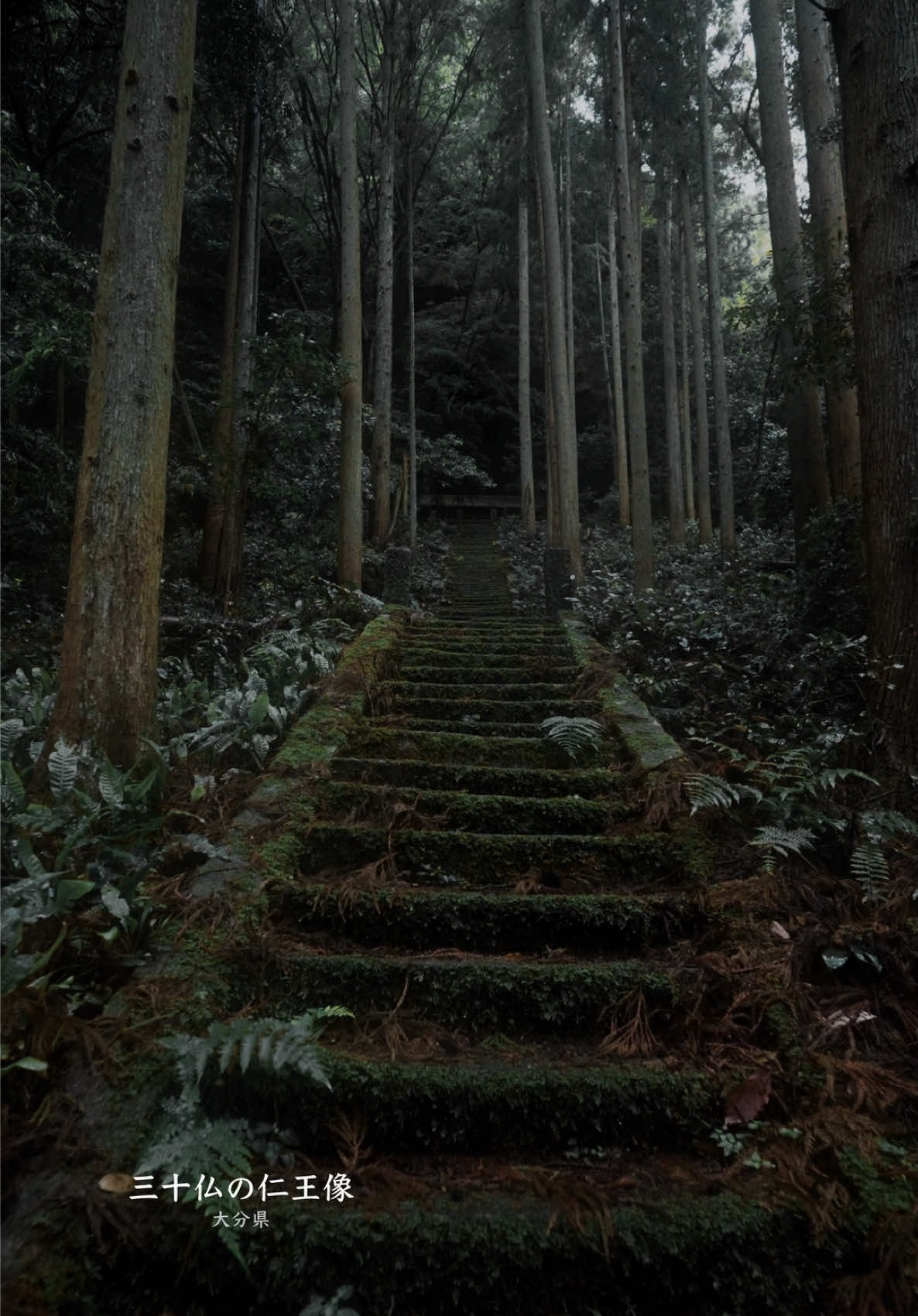 参道まとめ
