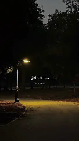 زود حلاكِي اللّيل ❤️✨ #ملحم_زين #نامي 