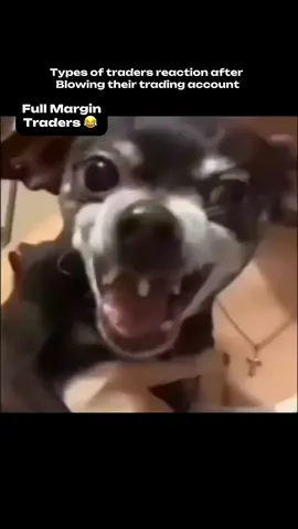 Types of traders reaction after blowing their trading account 😂 #crypto #trading #foryou #solana #bitcoin #blockchain #hotwallet 