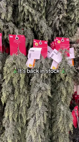 🎄You guysssss! The @Hobby Lobby Christmas garland is back in stock. Now with mini lights included 🙌🏽 🎅🏼 #hobbylobby #hobbylobbyfinds #viralgarland #christmas #christmastiktok #christmasgarland #christmasdecor  