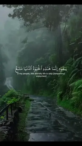 ياقوم إنما هذه الحياة الدنيا متاع #سعد_الغامدي #قران #quran #القرآن_الكريم_ترند #نفع_الله_بكم_الاسلام #المؤمنون_بالله_وحده #حافظواعلى_الصلاة #لاتكفروا_بالله #صلوا_على_خير_البشر_تغنموا #اجزاء_من_القرآن #القرآن_صفحات 