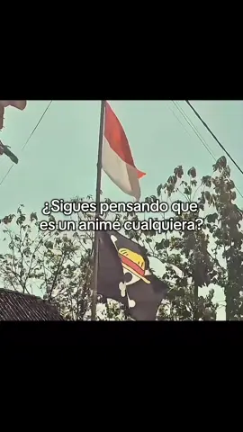 #onepiece #onepieceanime #indonesia🇮🇩 #indonesiatiktok #onepiecefan #luffyonepiece #libertad 
