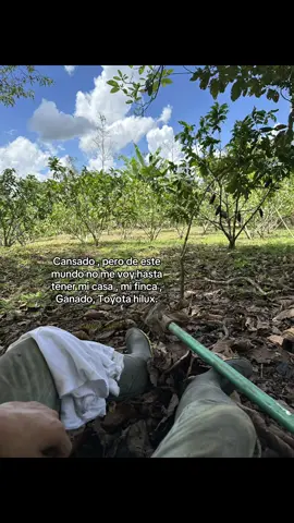 #fyp #promesa #trabajo #campo #trocas #ganado #agricultor #felicidad 