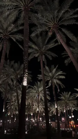 #اكسبلور #نخلة🌴 #عنيزة #القصيم #تصويري #ترند #ex 