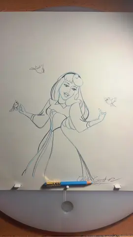 For all the people that requested!#waltdisney#16yearoldartist#Drawing#animation#sleepingbeauty#aurora