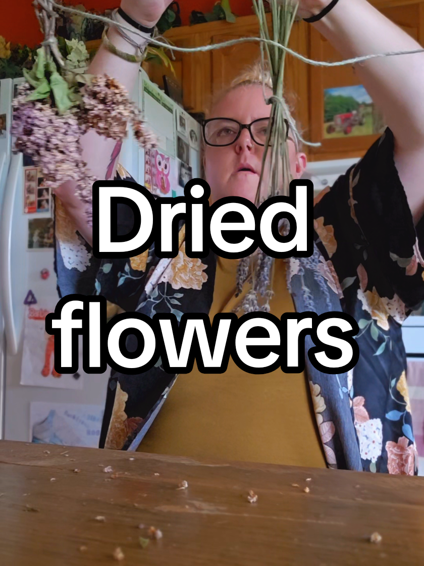 Dried flowers are my ABSOLUTE favorite. I have dried flowers in my house that are 20 years old. #craft #flowers #relax #driedflowers 