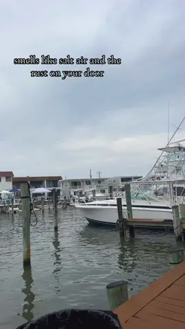 #whitemarlinopen 