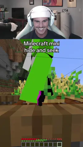 Minecraft hide and seek #Minecraft #minecraftmemes #minecrafter 