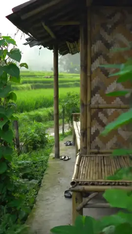Pagi hari di sebuah rumah bambu sederhana yang menghadap ke hamparan sawah hijau yang luas. #relaxing #pedesaan #sawah #sawahpadi #nature 