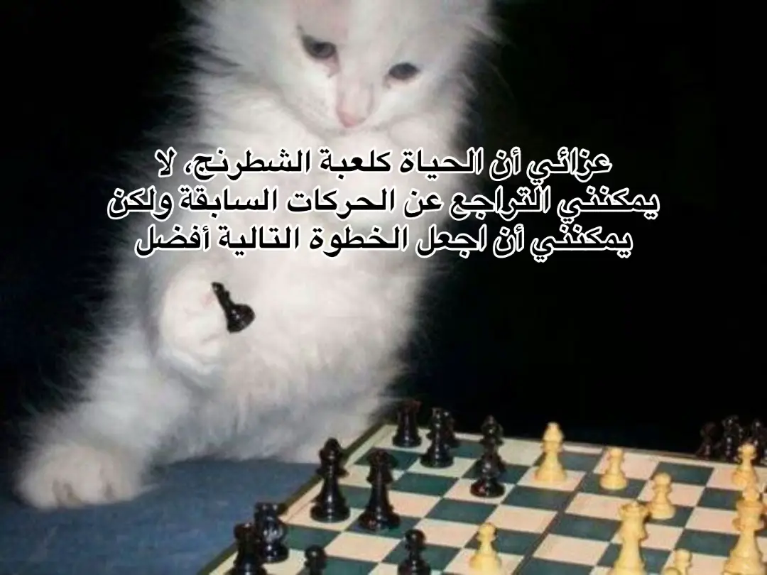 #شطرنج #chess #pyfツ 