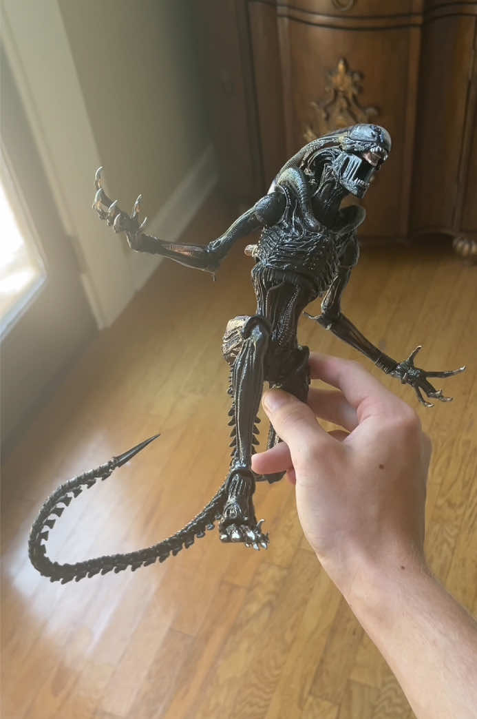 Underrated 2025 release | best space horror movie btw 👽 #fyp #creatorsearchinsights #alien #figtok #pose #fig #xeno #xenomorph #aliens #figure #posing #neca 