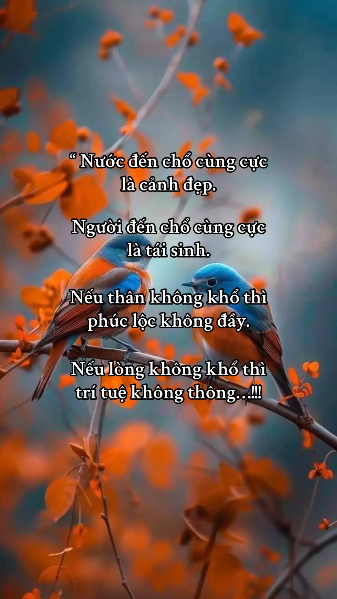 #xuhuong #foryou #fyp #nhactamtrang #tam_trang_buon 