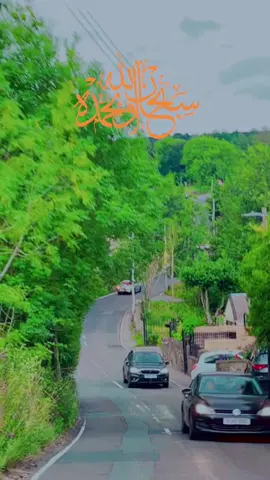 #CapCut #♥️😍🥰💚🥰😍♥️🌹💐🌸🌺🌻🌼 