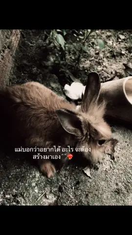 #อย่าปิดการมองเห็น #สตอรี่ความรู้สึก 