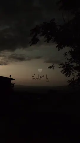 يا مولدنة 🤍##جورج #وسوف #احترافي #عدستي #تصويري #اكسبور_erolpxe 