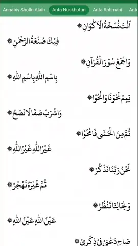 anta nuskhotul akhwam#fyp #sholawat #sholawatan #bangdirham #fyppppppppppppppppppppppp #abangdirham 