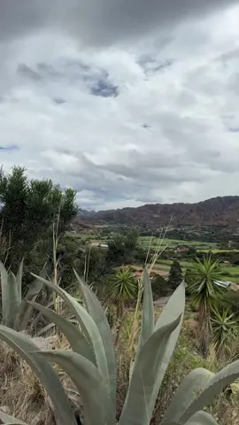Hiking Club Tuesday is back!!! ⛰️🥾 Vuelve el martes del Club de Senderismo!!! ⛰️🥾 #foryoupage #fyp #vilcabamba #ecuador #expatlife #Hiking #hikingtiktok 