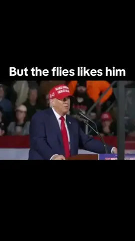 Funny Guy He wonders why flies swarming around him WHAT A JOKE. He has all that money still can’t do nothing to help himself. Honestly why can’t he just give in and take himself to a care home hahaha One of the funniest President ever 😂🤥😂 #blowthisupforme #foryou #enjoy #enjoylife #eat #healthyliving #SelfCare #important #very #funnyvideos😂 #fart #poo #president #USA #tik_tok #tiktokviral #comedy #foryoupage❤️❤️ #videoviral #for #you #comedia 