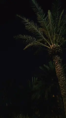 #الشعب_الصيني_ماله_حل 