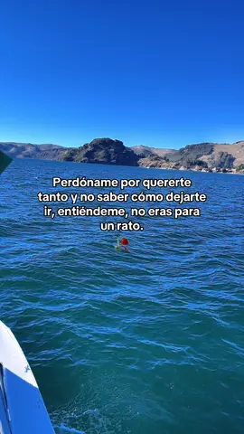 #paratiiiiiiiiiiiiiiiiiiiiiiiiiiiiiiiiii🦋 #paratiiiiiiiiiiiiiiiiiiiiiiiiiiiiiii #soltar #🥀🖤 #desamor #adios 