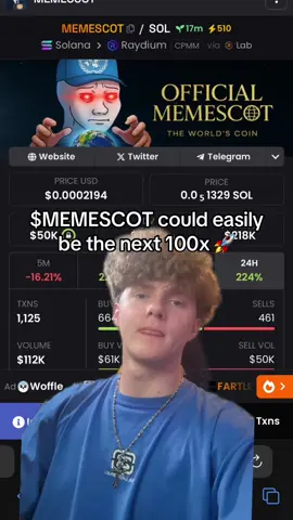 #greenscreen $MEMESCOT could easily be the next 100x memecoin 🚀‼️ #crypto #memecoins #memescot 