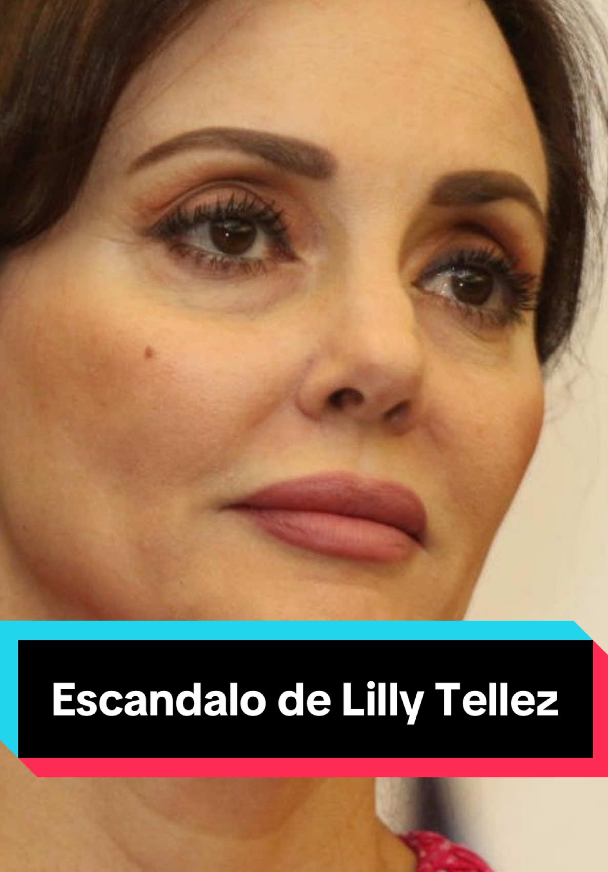 Socia de Guarderia ABC detenida en EU es prima hermana de la senadora Lilly Téllez El gobernador de Sonora, Alfonso Durazo Montaño, celebró la detención de Sandra Lucía en Estados Unidos. #chatgpt #usa🇺🇸 #pregunta #NOTICIAS #comercio #visa #cafe #escandalo @cnbc 