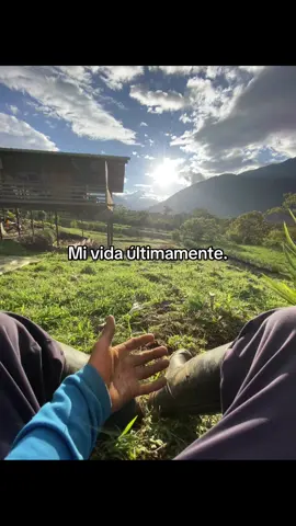 🔄