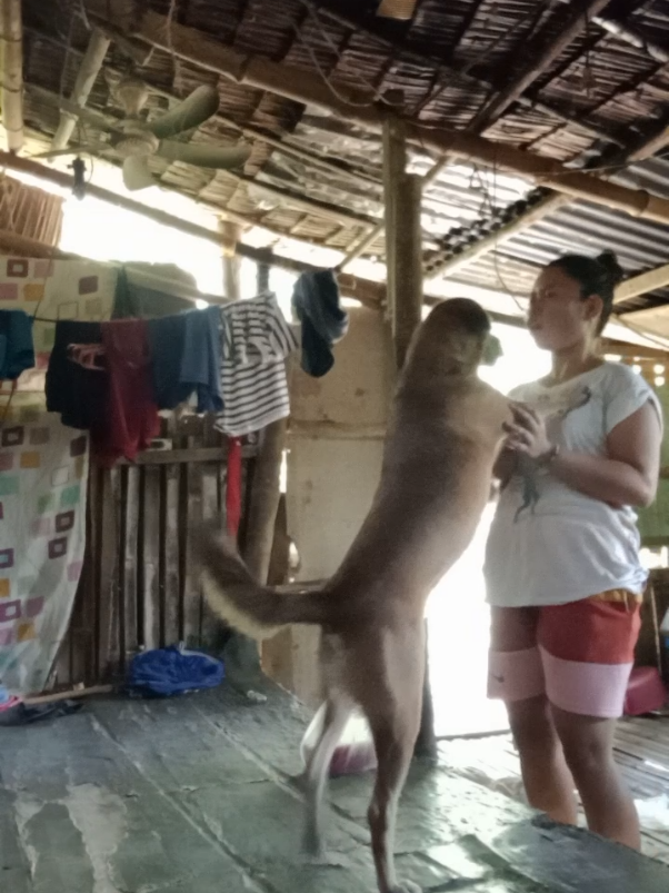 Parang kailan lang, ang liit mo pa,  ngayon ang laki mo na🥰😍🤗, alam  mong love na love kita kaya sobrang  sakit pag iniisip kung sasaktan ka ng  mga taong di marunong magmahal ng  aso🥺😔  #fyp #dogs #mypet #mypetdog #doggy 
