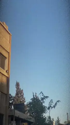 وطن لا نحمه لا نستحق العيش فيه