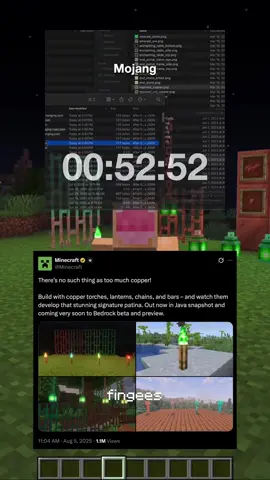 I added speed to #Minecraft #cursedminecraft #minecraftmemes 