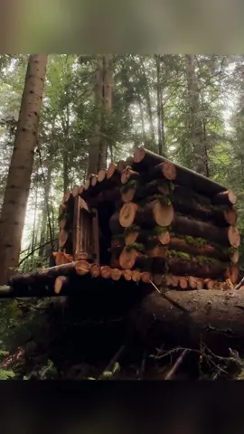 Bushcraft Shelter in the forest ep1#bushcraft #outdoor #survival #build #craftingvisionary #fyp