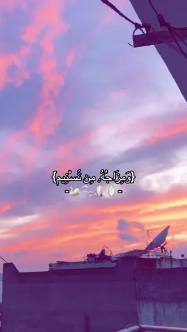 #🤍 #🦢 #صدقة_جارية #قران #لاالاه_الا_الله_محمد_رسول_الله #قرآن #قرآن_كريم #الحمد_لله_على_نعمة_الأسلام #الحمدلله_دائماً_وابداً #muslim #muslimah #ارح_سمعك_بالقران #سبحان_الله #quran #الله_اكبر #الله #deen #سبحان_الله_وبحمده_سبحان_الله_العظيم #اللهم_صلي_على_نبينا_محمد #محمد_اللحيدان 