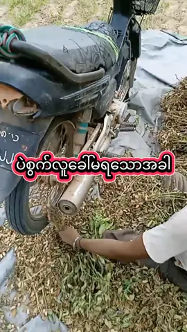 အညာပြန်အသဲမပါပေမယ့်ငိုမယ်မထင်နဲ့#အကောက်သစ်လေးပြန်အပ်ပေးပါအုံး🥺 #ကျောက်ပန်းတောင်းသားလေး 