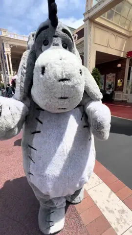 Sometimes you just need a hug from Eeyore to know everything is gonna be okay #disney 