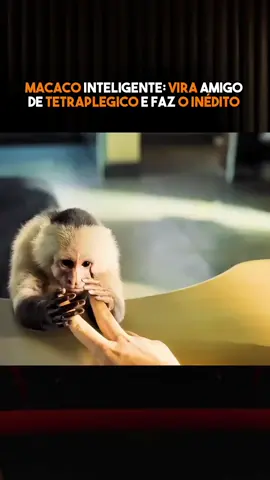 MACACO INTELIGENTE: faz o EXTRAORDINÁRIO com tetraplegico #ftv #viraliza #foryou #filmes #NarraStars