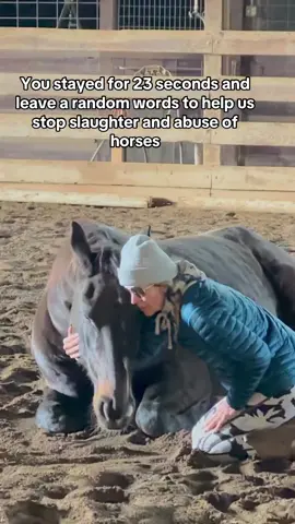 You stayed for 23 seconds and leave a random words to help us stop slaughter and abuse of horses. #HorseRescue #HorseShelter #HorsePtus #EndAnimalcruelthes #EndAnimalAbuse #Besties #ADOPTED #BigLick 