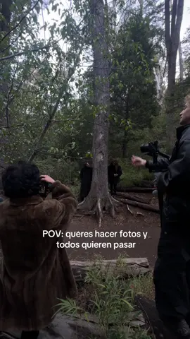 adelante 