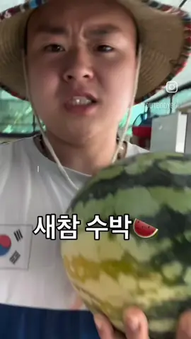 나랑 수박 먹어줘 🍉#xuhuong 