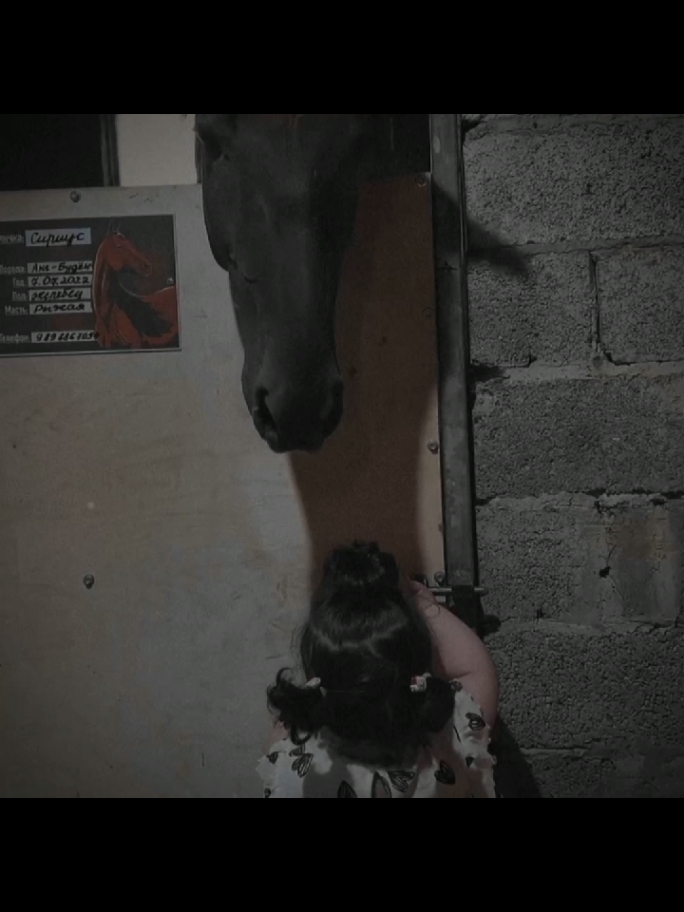 #CapCut أجمل ما في الحياة إنسان يفهمك دونَ كلام🖤#fypシ #حب_خيل🐎 #عبارات #متنوعة #اكسبلورexplorel #fouryou #سوريا #لايك_فولو #بيسان_اسماعيل #شعب_الصيني_ماله_حل😂😂 #عملولي_أعادة_نشر😒 
