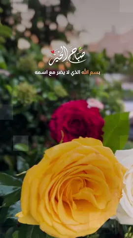 بسم الله الذي لا يضر مع اسمه شيء في الأرض ولا في السماء وهو السميع العليم… #صباح_الخير #صباح #دعاء 