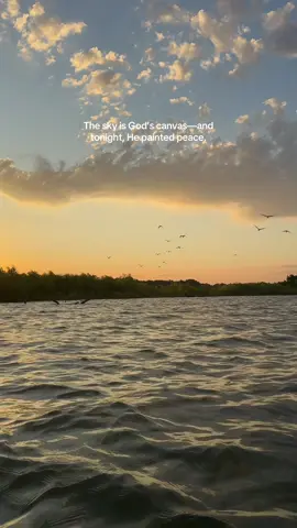 #HeavenlyMoments #SpiritualVibes #SunsetSoul #SignsFromAbove #PeacefulEvening #HealingInNature #SkySpeaks #NotAboutAngels #SunsetMagic #DivineTiming #BirdsInFlight #CelestialSigns #WhispersFromHeaven