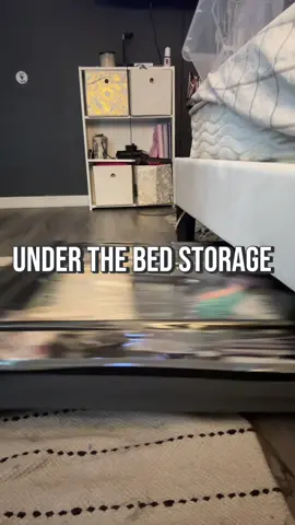 apparently I need a new rug too 😅 #storagehacks #storage #dealsforyoudays #storageideas #fyp 