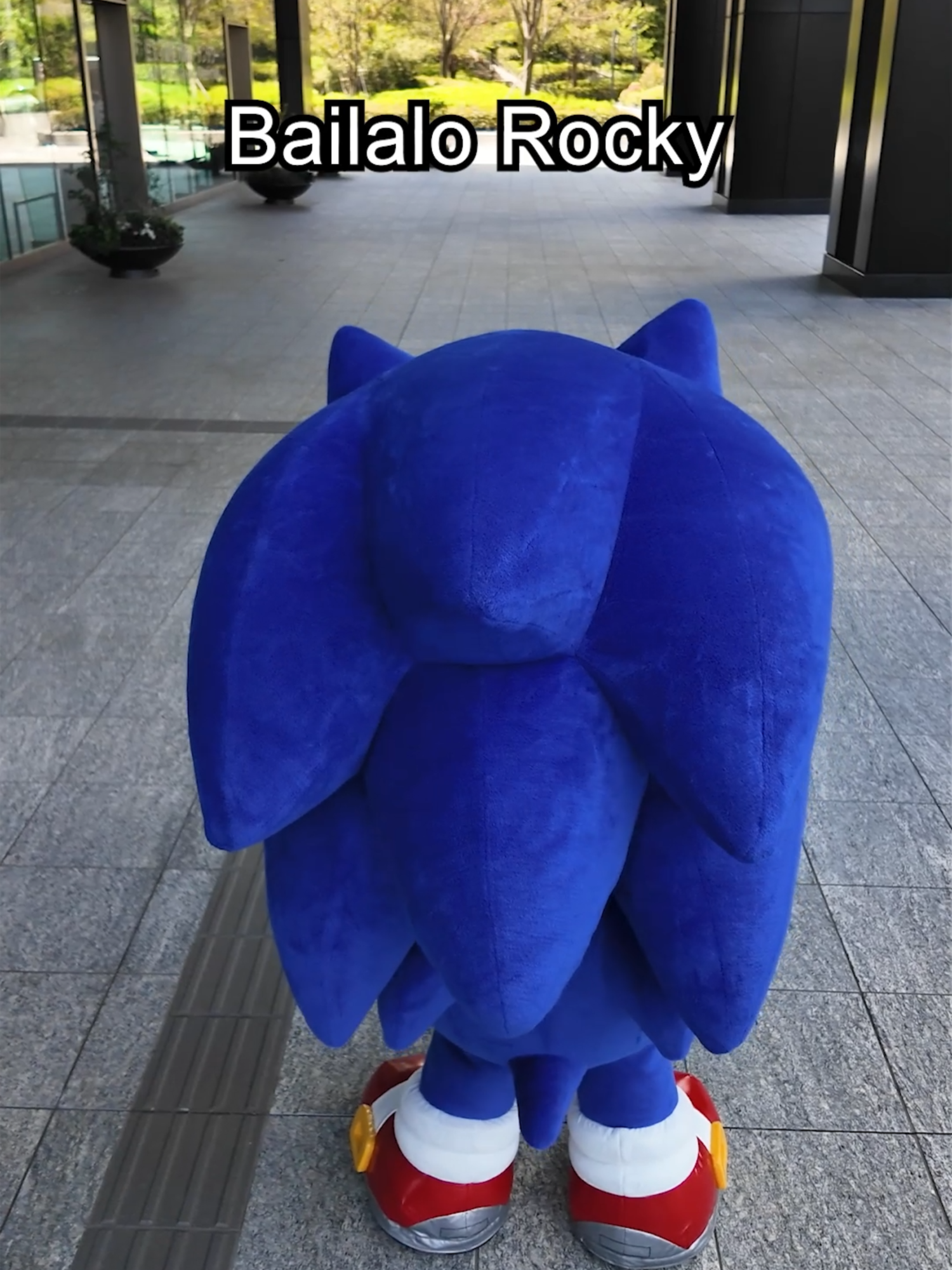 Sharp steps right on beat😎 #bailalorocky #ソニック #sonic #セガ #sega