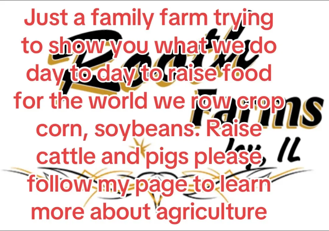 #roothfarms #farmtok #farmlife #illinoisfamilyfarm #farming #fyp #fup #followers #familyfarm #foryoupage #illinoisfarmer #agriculture #usa🇺🇸 #krcattleco #