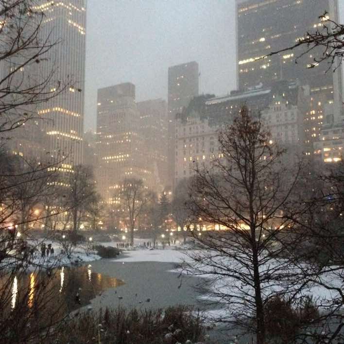 #raye #escapism #snow #winter