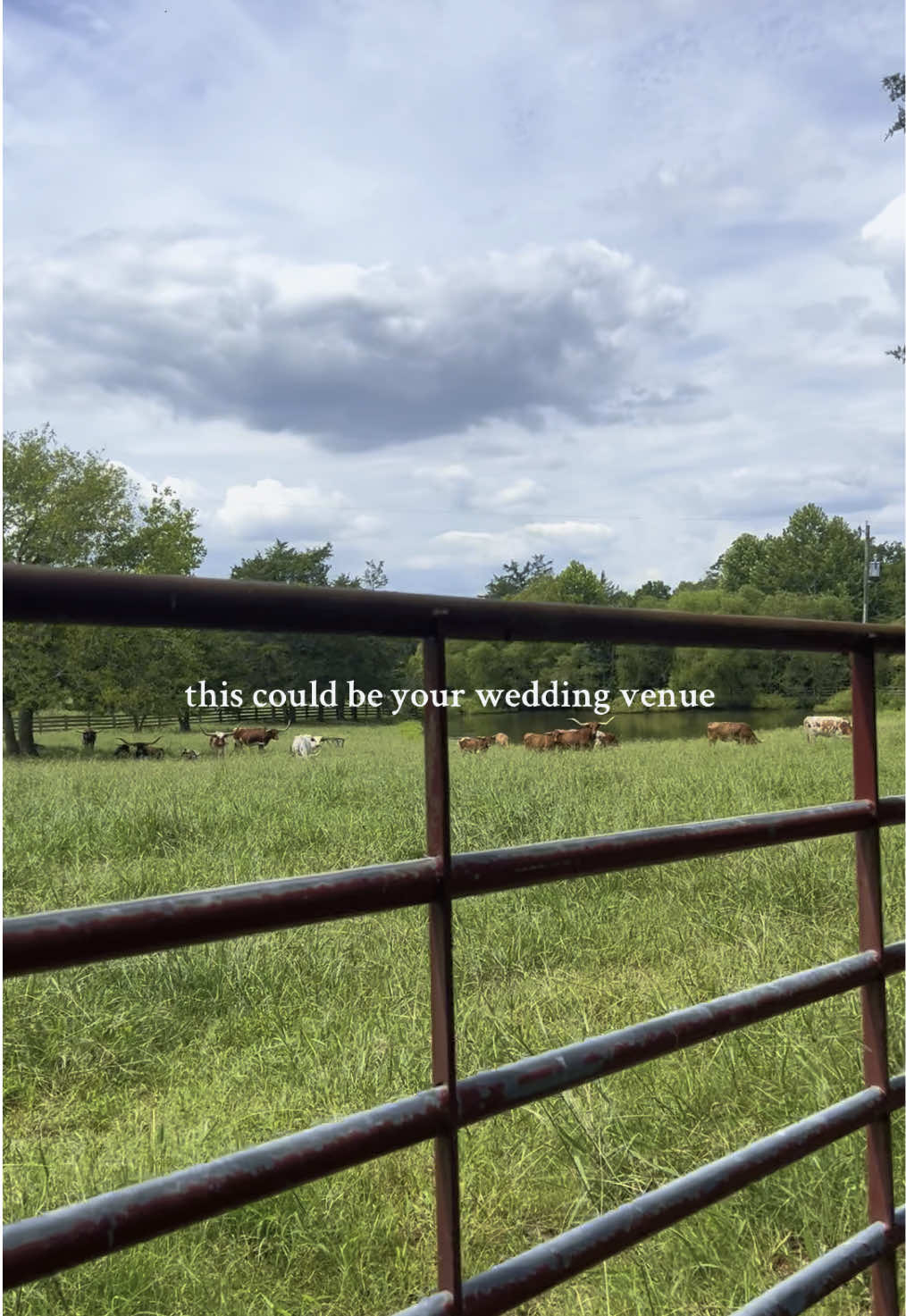 What do ya say? Are you in? ⛪️💍🐂🌿 We offer full weekend rentals for weddings. We believe this provides the best option to allow you to have the rehearsal, rehearsal dinner, and decorating on Friday, the wedding on Saturday, and cleanup on Sunday. Our current cost for 2026 weddings is $6,500.00 for the weekend which will begin from Friday at 9:00am through Sunday at 12:00pm. Sales tax will be added to all rentals. Luckily, all we require to reserve your requested date is a $1,000.00 deposit that is deducted from the total cost of the venue. We take cash, checks, debit and credit cards - Visa, Mastercard, Discover, or American Express. All balances must be paid in full 60 days before your event, however, we allow you to make payments at any time for however much you desire! Once you book, we allow you to use the facility for engagement pictures or bridal portraits.  The following amenities are included in the barn rental listed by the area they are located:  Chapel:  Stained Glass Windows  LED Candles  Dimmed Lighting Capacity: 180 guests seated for ceremony.  Saloon:  Convection Oven Four Eye Stove Two Cocktail Refrigerators Wine Cooler Dishwasher Sink 10 - Bar Stools 9 - Saddle Stools 4 - Cocktail Tables TV with DVD Player Surround System Corral:  Women’s Restroom Shower Men’s Restroom Full Size Refrigerator  Storage Closet 2 - Large opening barn doors into grassy open fields. Most used for wedding ceremonies.   Patio or Elongated Decking Area: 15 - 5’ X 6’ Picnic Tables ; Seats 96 people if 6 per table  Firepit  Adjoining Cemented Shelter (Dance Floor) ; Capacity: 250 guests seated for ceremony.  Vintage Beverage Wagon Corn Hole Game Also Included:  20 - 5’ Round Banquet Tables 5 - 8’ Rectangle Serving Tables 155 - White Padded Folding Chairs Engagement Photography Sessions Bridal Portraits  Meetings with selected vendors Paper Towels Bathroom Tissue Trashbags  Hand Soaps  Trash Cans Propane Heaters at an additional $35 charge each to use - we provide propane tanks Firewood The Gentry Barn is 6,500 square feet and sits on approximately 260 beautiful acres. This heaven sent property also hosts a home for The Gentry Cabin, longhorns, horses, geese, and crops. We also have a large area for parking which has street light posts for nightly lighting.  The Gentry Farm’s quaint cabin includes 1 king bed, 1 bathroom with a shower, a kitchen area with a full size refrigerator, dining area, and a den. The Cabin makes for the picture perfect scenery for the bridal suite during the get ready process. The cabin is on the same property for $450.00 for the weekend, Friday from 9:00am through Sunday at 12:00pm. There is a surround sound system located in the barn with individual room controls. We are handicap accessible, with a removable ramp available upon request. You would be responsible for putting up tables and chairs, moving items back in place, and removing trash at the end of the event. Items on the floor in the barn may be moved as needed during the event, however, all items on the wall must remain.  📍Ringgold, VA 