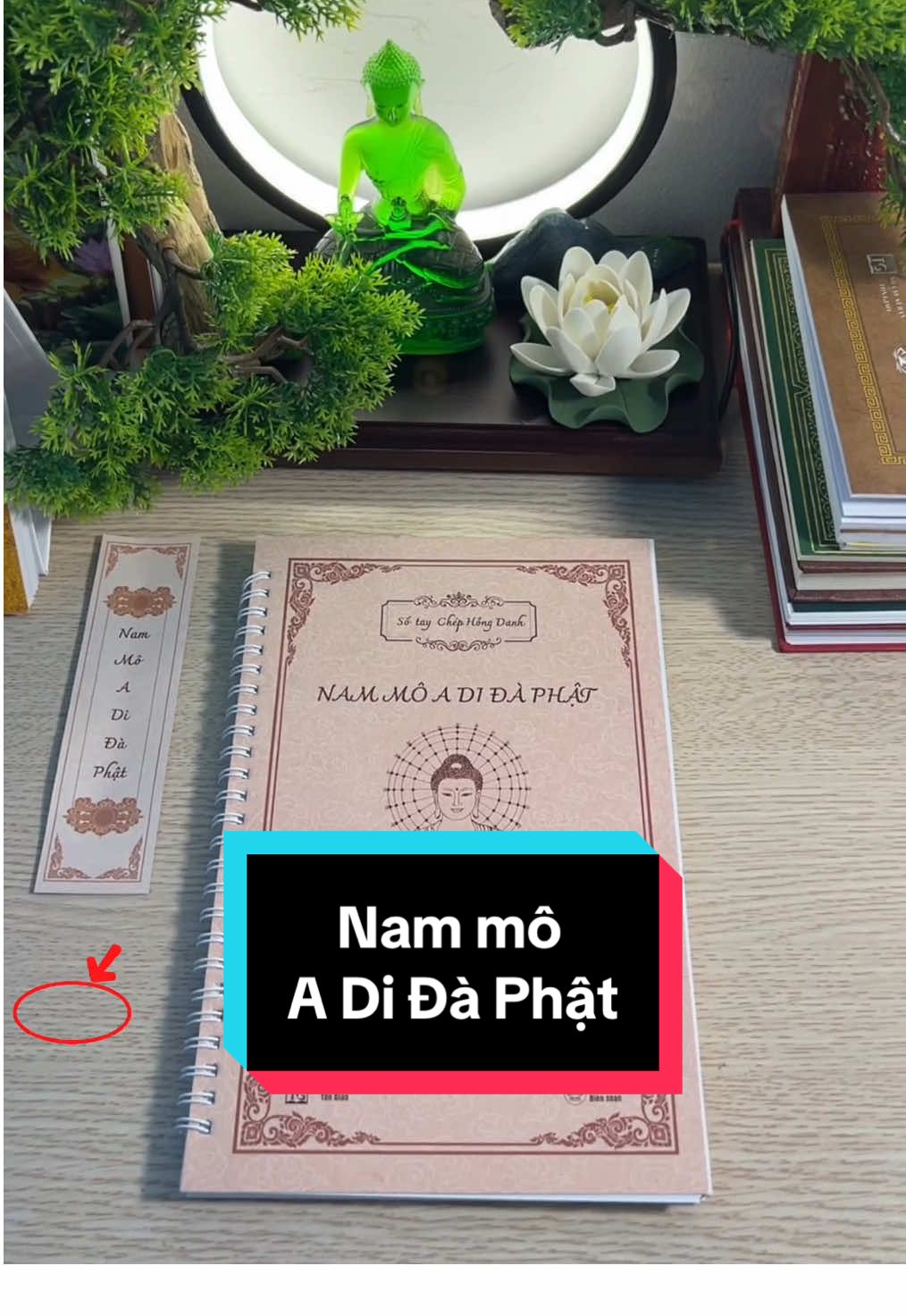 Sổ tay chép hồng danh Nam mô A Di Đà Phật #phatphap #phatphapnhiemmau #hocphatmoingay #chepkinh #sotaychepkinh #nammoadidaphat #minhantamnhan 